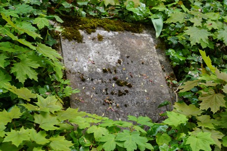 Bad Godesberg